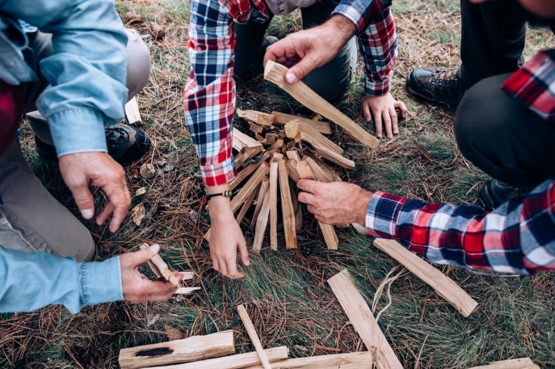 Get dry woods and set it up in a campfire style with your wood standing up