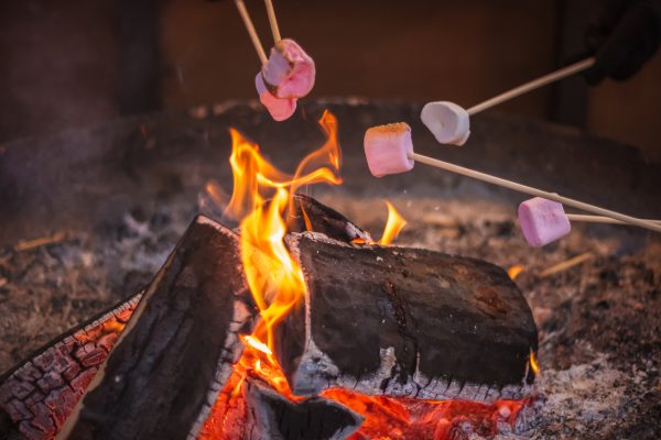 Building a successful fire can mean anything from roasting marshmallows to keeping yourself dry and warm in a survival situation