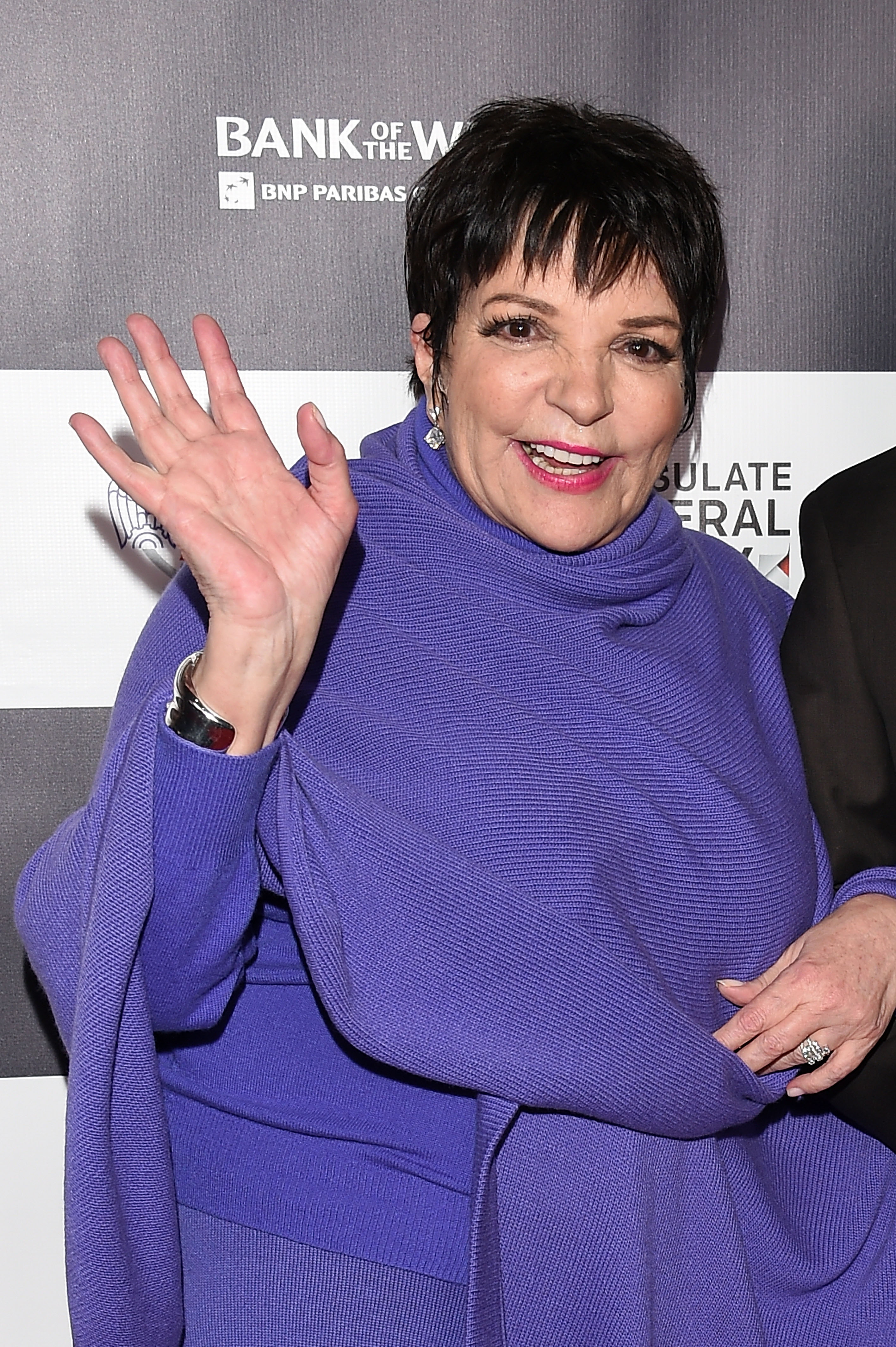 HOLLYWOOD, CA - FEBRUARY 20:  Liza Minnelli attends Los Angeles Italia Closing Night Ceremony at TCL Chinese 6 Theatres on February 20, 2015 in Hollywood, California.  (Photo by Venturelli/Getty Images)