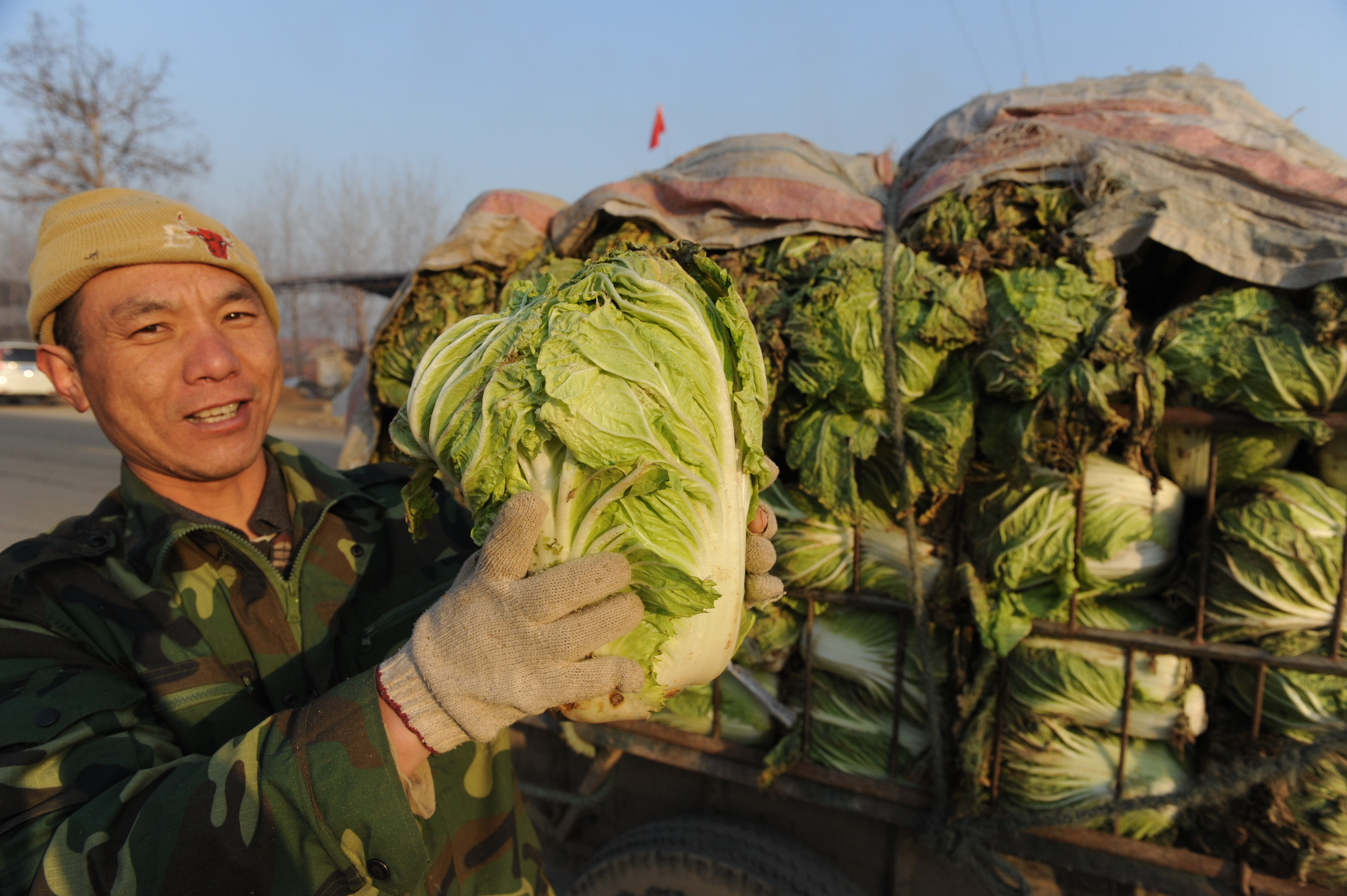 QINGDAO, CHINA - MARCH 07:  (CHINA OUT) Farmers prepare the sale of cabbage on March 7, 2011 in Qingdao, Shandong Province of China. According to the Ministry of Commerce (MOC) Tuesday, most farm produce prices in China continued to rise in the week ending March 6, but generally at a slower rate compared to the previous week.  (Photo by VCG/Getty Images)
