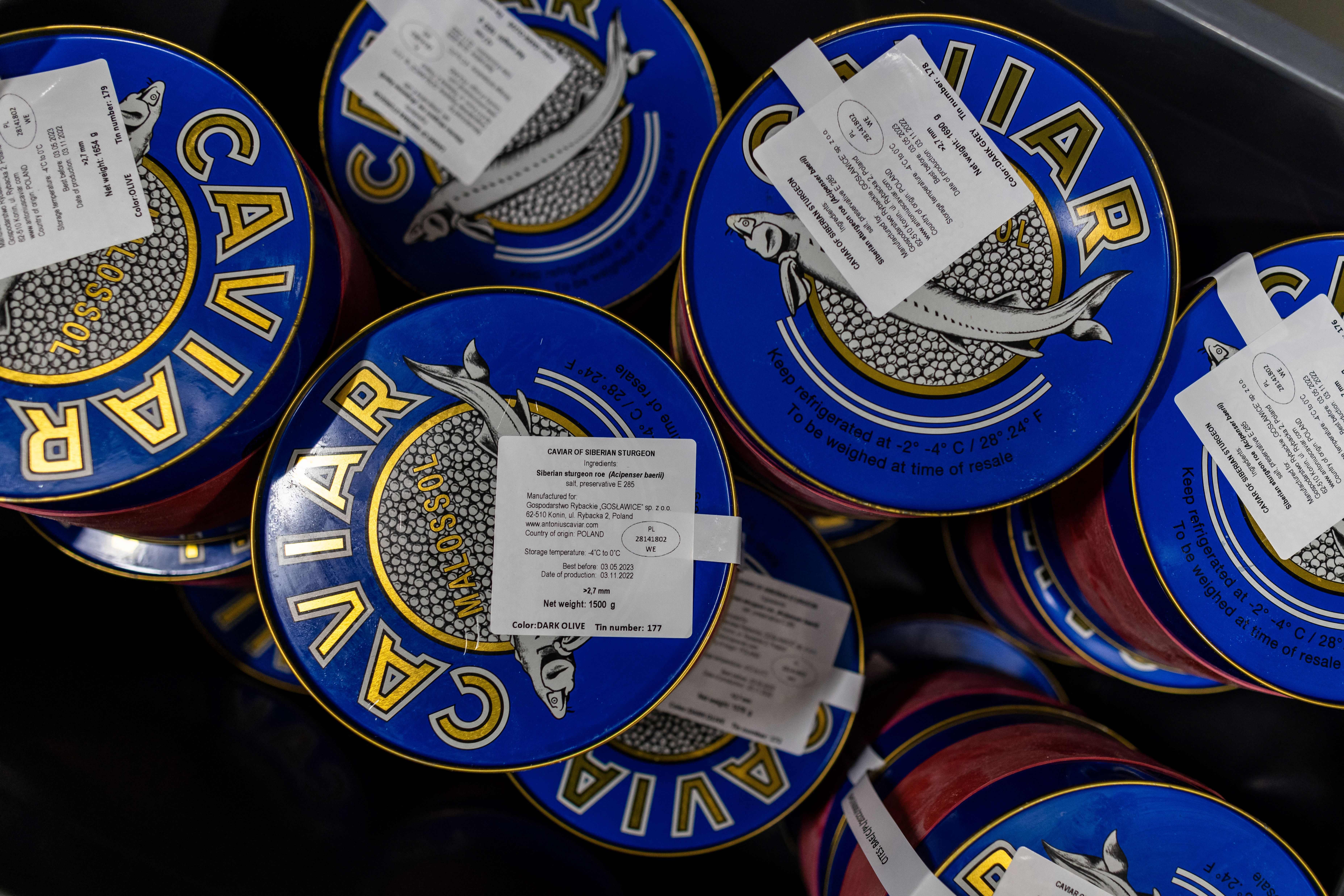 Tin cans with caviar that are ready for transport are seen at a fish farm in the northern Polish village of Rus on November 4, 2022. (Photo by Wojtek RADWANSKI / AFP) (Photo by WOJTEK RADWANSKI/AFP via Getty Images)