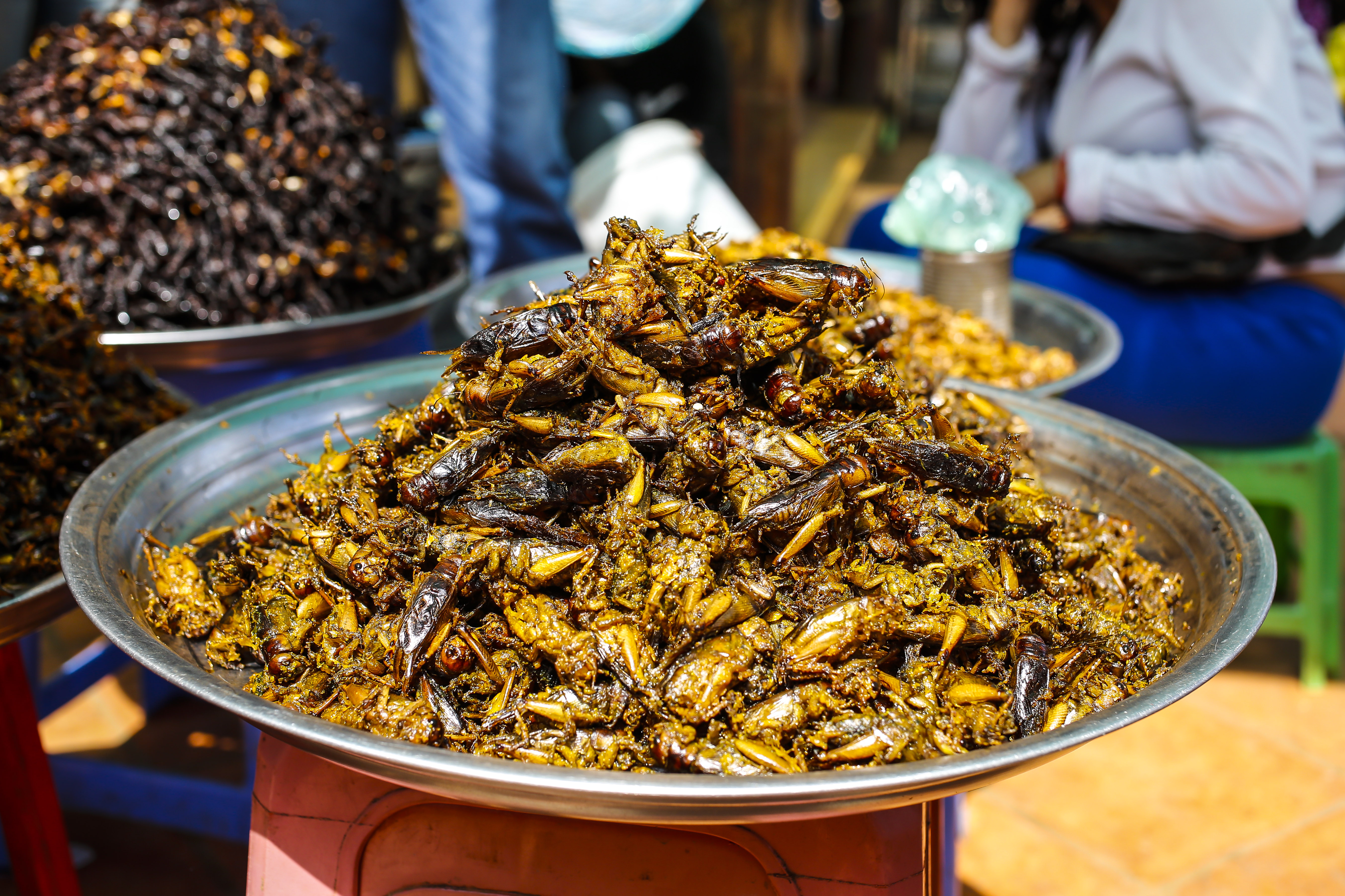 SIEM REAP - DECEMBER 20: Exotic food with fried tarantulas and circadas, insects, in Siem Reap on December 20, 2012, Cambodia. (Photo by EyesWideOpen/Getty Images)
