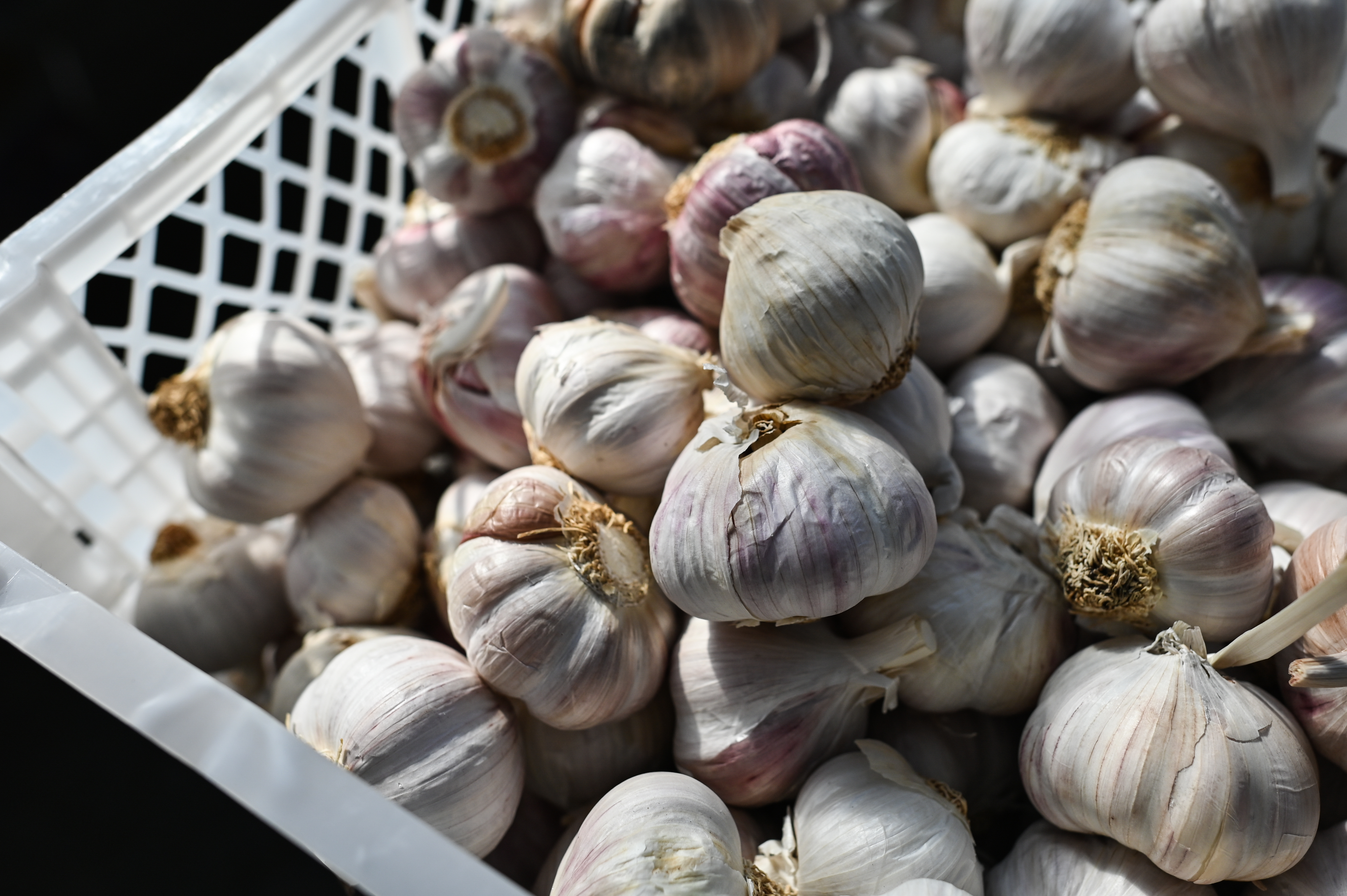 KRAKOW, POLAND - MARCH 28: A general view of a stand with garlic in Stary Kleparz, the oldest continuously operating market, in Krakow, Poland, on March 28, 2023. In February 2023, Poland experienced a record-breaking inflation rate of 18.4%, the highest since December 1996 and in line with forecasts. However, experts predict a decrease in the coming months, with the possibility of single-digit inflation by the end of the year. Prices rose by 1.2% month-on-month, exceeding the forecasted 0.8% increase and the previous month