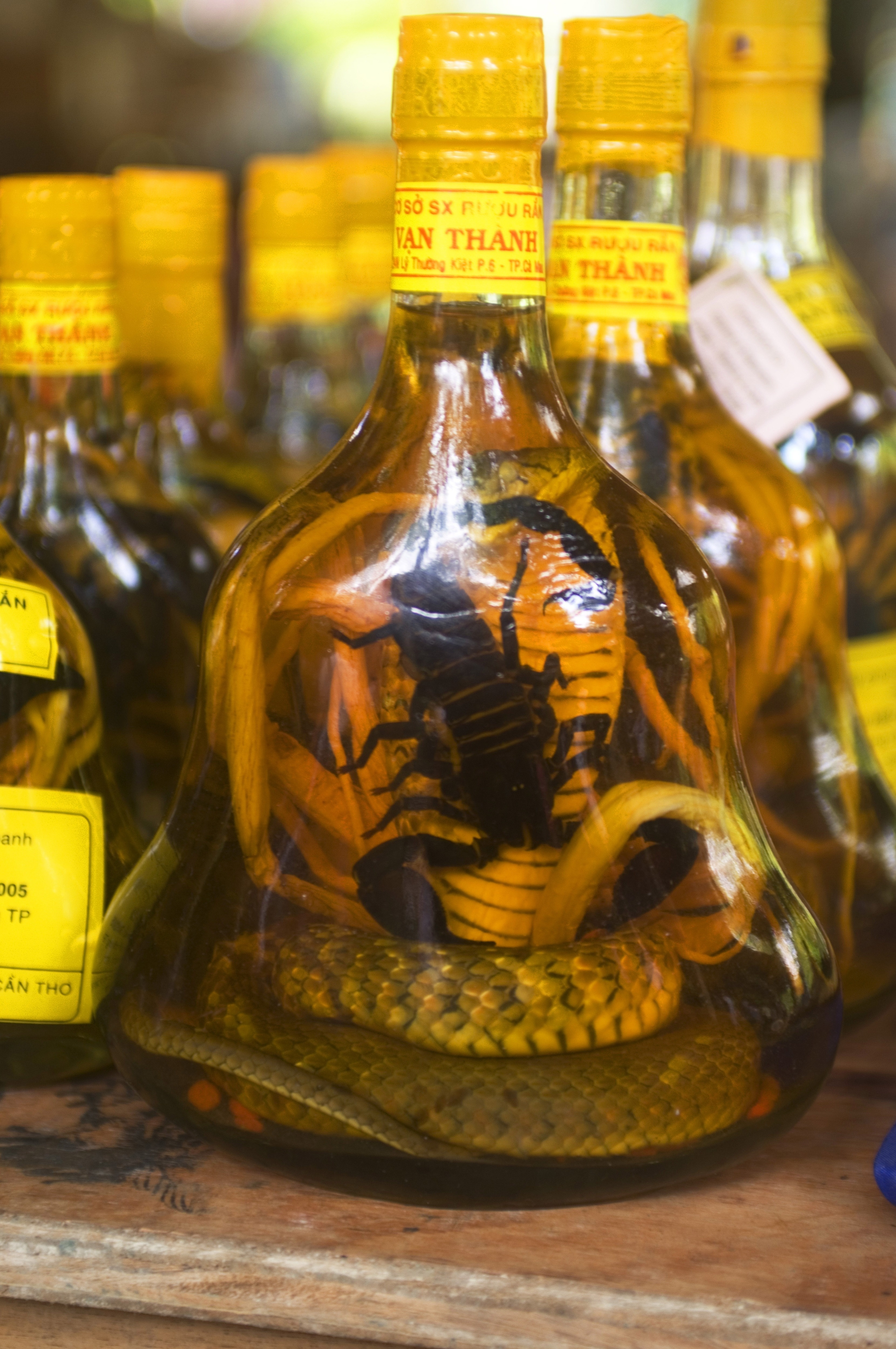 VIETNAM - 2006/09/22: Vietnam, Near Saigon (ho Chi Minh City), Mekong River Delta, Snake Wine Containing Rice Wine, Snakes, Scorpion Etc. (mystical sexual stimulative properties). (Photo by Wolfgang Kaehler/LightRocket via Getty Images)