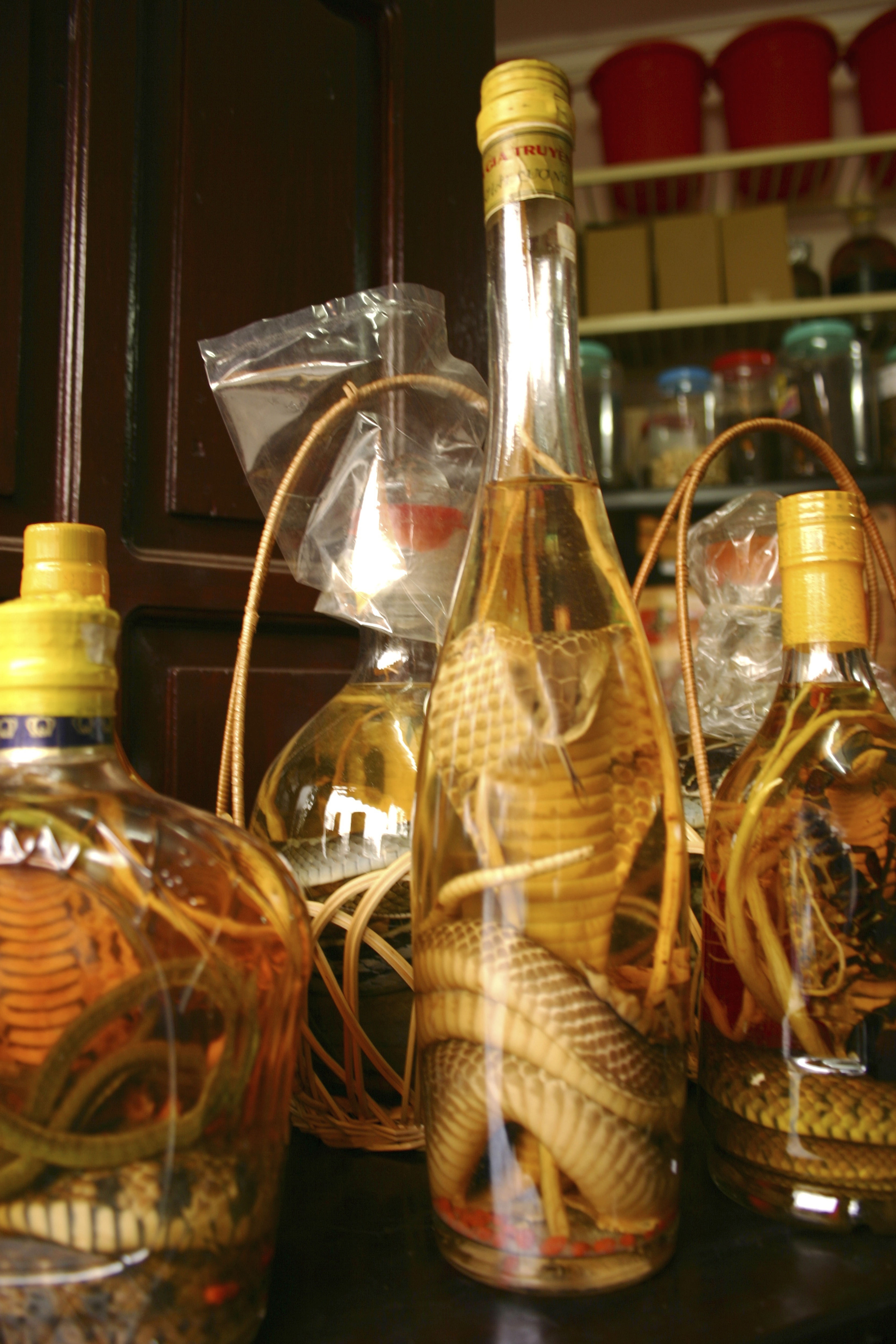 HANOI, VIETNAM - 2005/01/03: Bottles of snake wine in a herbal medicine shop in the Hanoi Old Quarter, near Hoan Kiem lake. The Old Quarter has the original street layout and architecture of old Hanoi. At the beginning of the 20th century the entire city consisted of only about 36 streets, most of which are now the old quarter. Each street had merchants and artisans specialized in a particular trade such as silk, jewellery, coffee and herbalists. The street names reflect these specializations, although few of them remain exclusively in their original commerce.. (Photo by John S Lander/LightRocket via Getty Images)