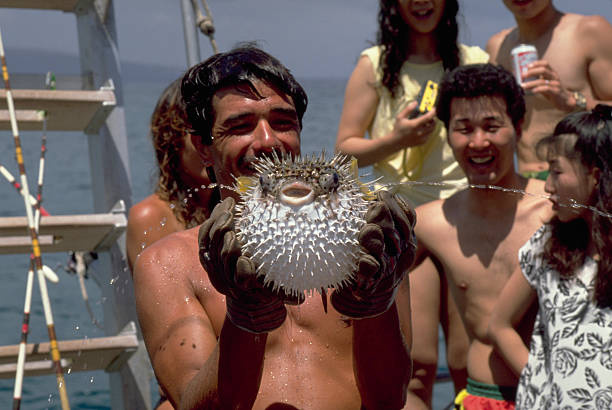 Man Holding Porcupinefish Aboard Tour Boat (Photo by Douglas Peebles/Corbis via Getty Images)