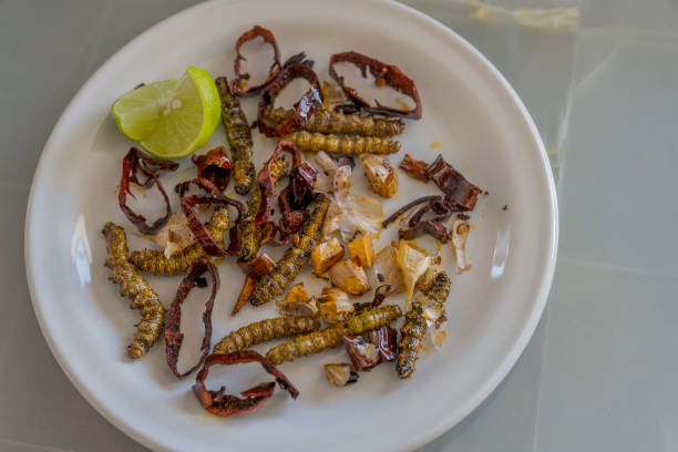 OAXACA, MEXICO - 2022/07/27: A local dish with fried caterpillars in a restaurant in Zapotitlan de las Salinas, in the state of Puebla, Mexico. (Photo by Wolfgang Kaehler/LightRocket via Getty Images)