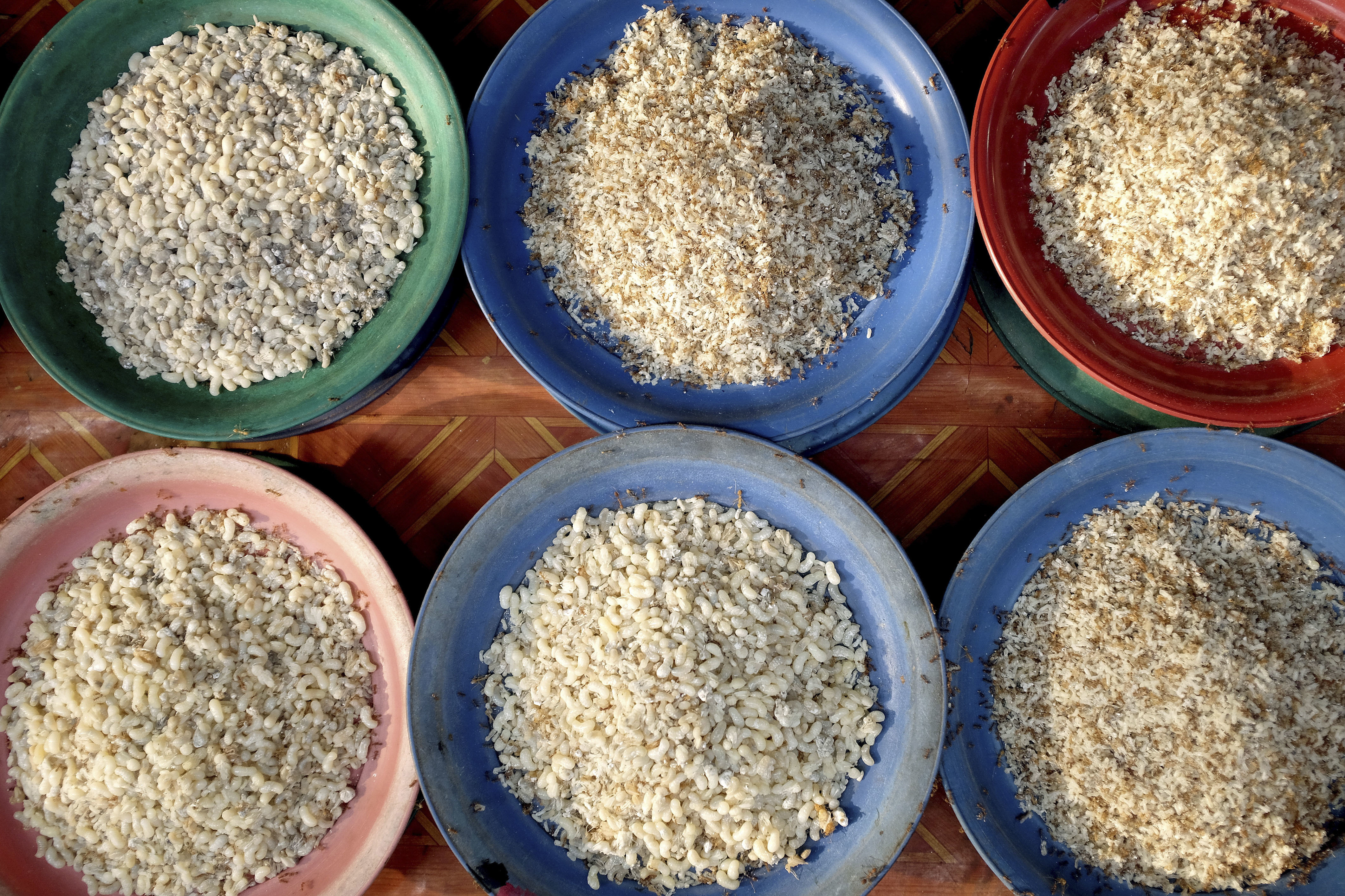 Ant eggs for sale at Don Mak Kai market on the outskirts of Vientiane city, Lao PDR. The Lao are very reliant on products collected or caught from the wild. Insects such as ants, crickets, wasps and their nests are especially easy to find in nearby forests and fields. A walk through any market will illustrate the agro and bio-diversity of Laos. (Photo by In Pictures Ltd./Corbis via Getty Images)