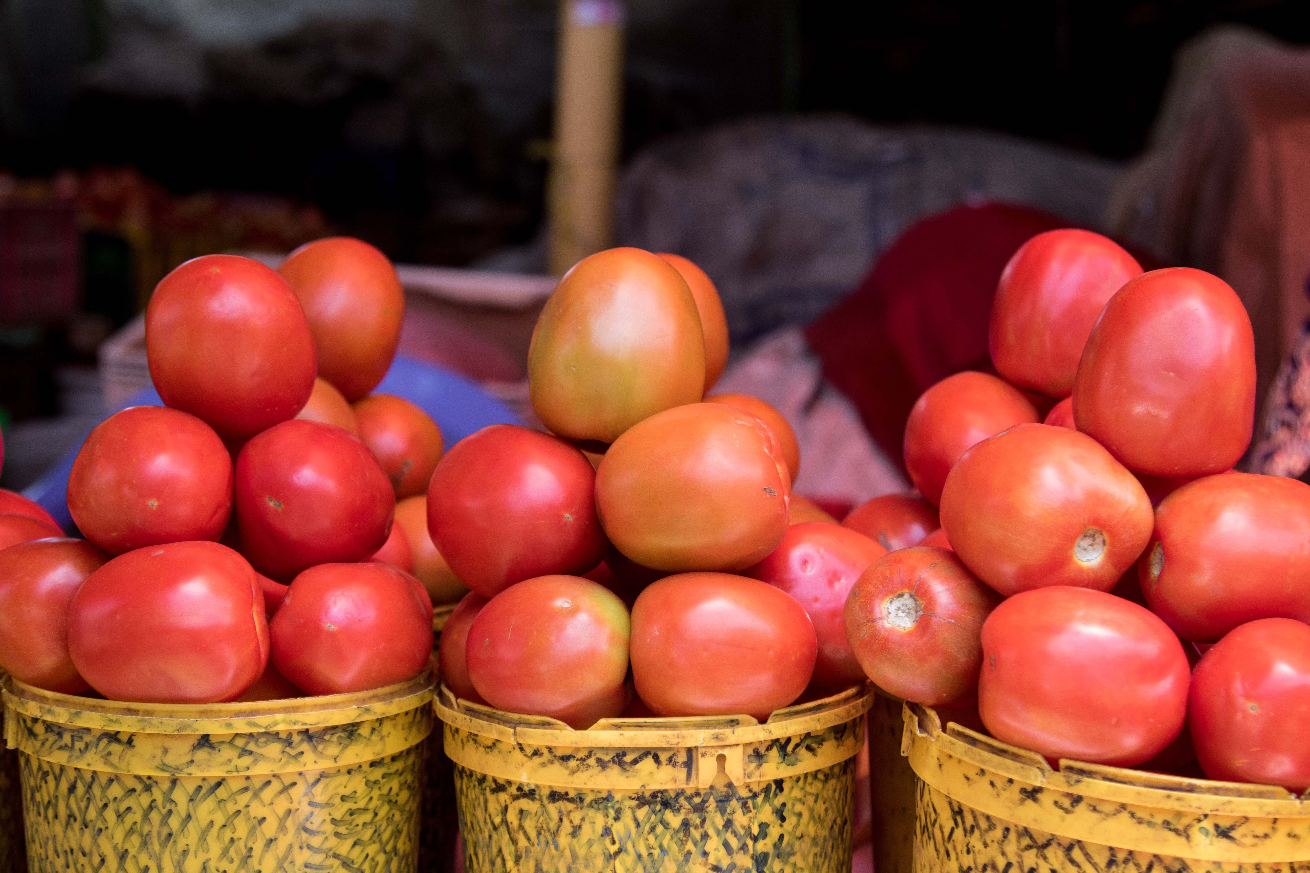 NAKURU, RIFT VALLEY, KENYA - 2022/09/01: A view of tomatoes displayed at a fresh food market in Nakuru Town. Kenya
