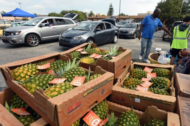 ORLANDO, FLORIDA, UNITED STATES - 2022/06/25: Volunteers prepare to load pineapples and other food into waiting cars at a food distribution event for the needy sponsored by the Second Harvest Food Bank of Central Florida and Orange County at St. John Vianney Church in Orlando, Florida. High food and gas prices are squeezing working families, sending some to food pantries for the first time, but providers are struggling with inflation costs as demand spikes. (Photo by Paul Hennessy/SOPA Images/LightRocket via Getty Images)