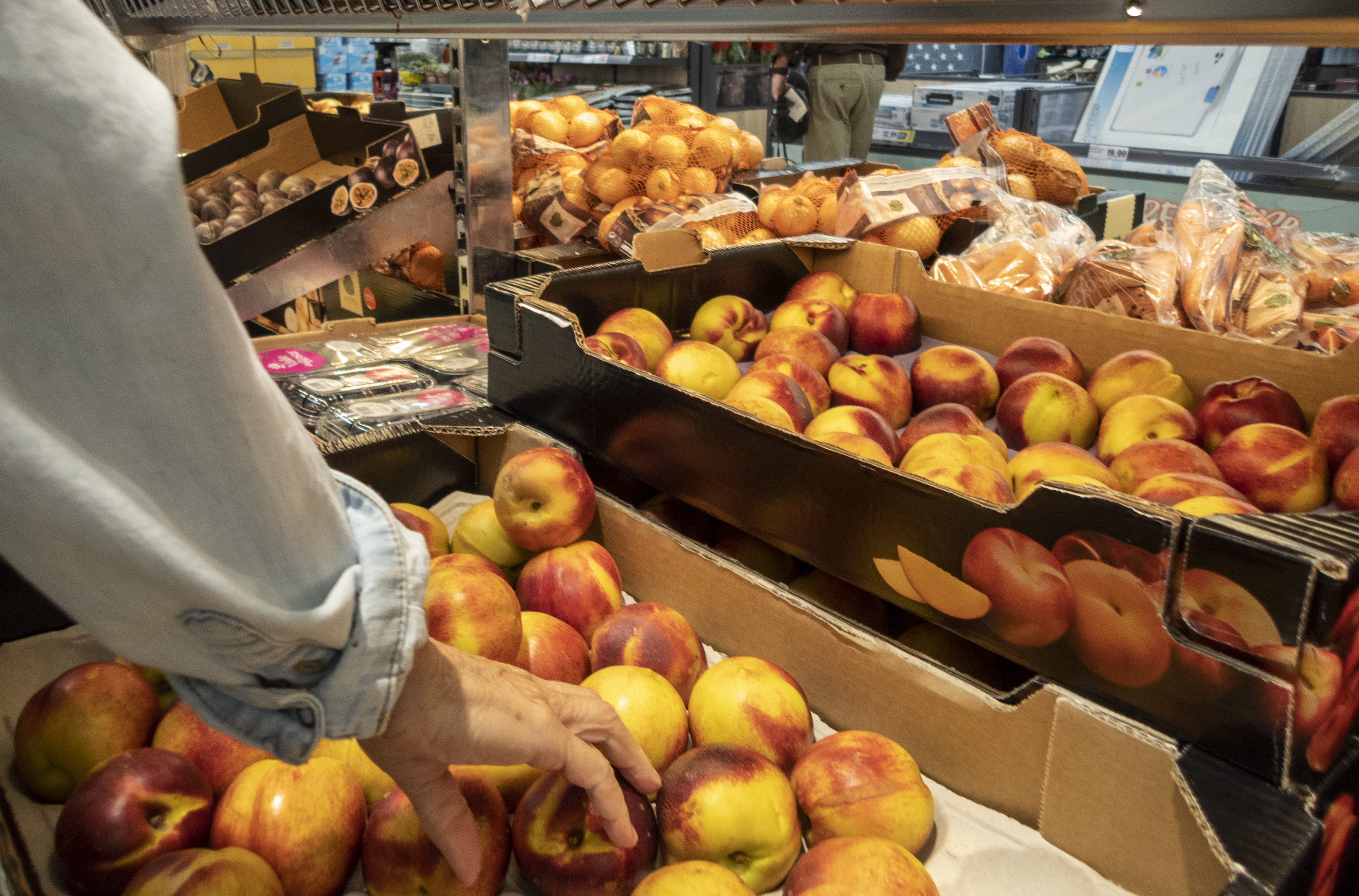 ALCABIDECHE, PORTUGAL - AUGUST 25: A shopper chooses nectarines at Lidl supermarket in Avenida República on August 25, 2019 in Alcabideche, Portugal. Lidl entered the Portuguese market in July 1995, opening its first warehouse in Sintra and 13 shops. The company invested in Portugal 100 million euros during 2018 and has some 250 shops and four warehouses in the country. (Photo by Horacio Villalobos#Corbis/Corbis via Getty Images)