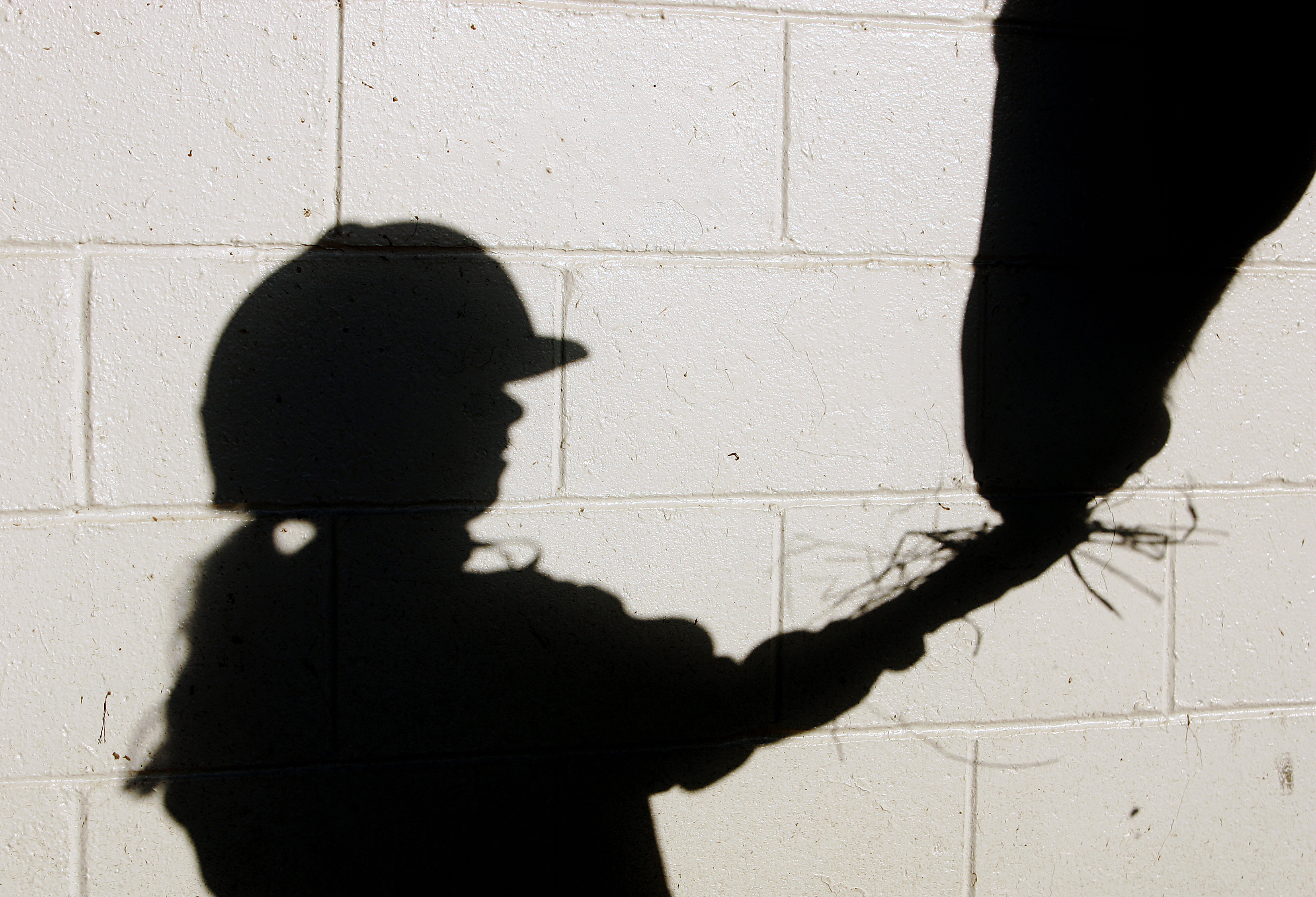 MELVILLE, NY - OCTOBER 26:  The shadow of Eight year old Nicole Bello feeds hay to a horse prior to her riding lesson at The Thomas School of Horsemanship on October 26, 2005  in Melville, New York.  (Photo by Al Bello/Getty Images.)