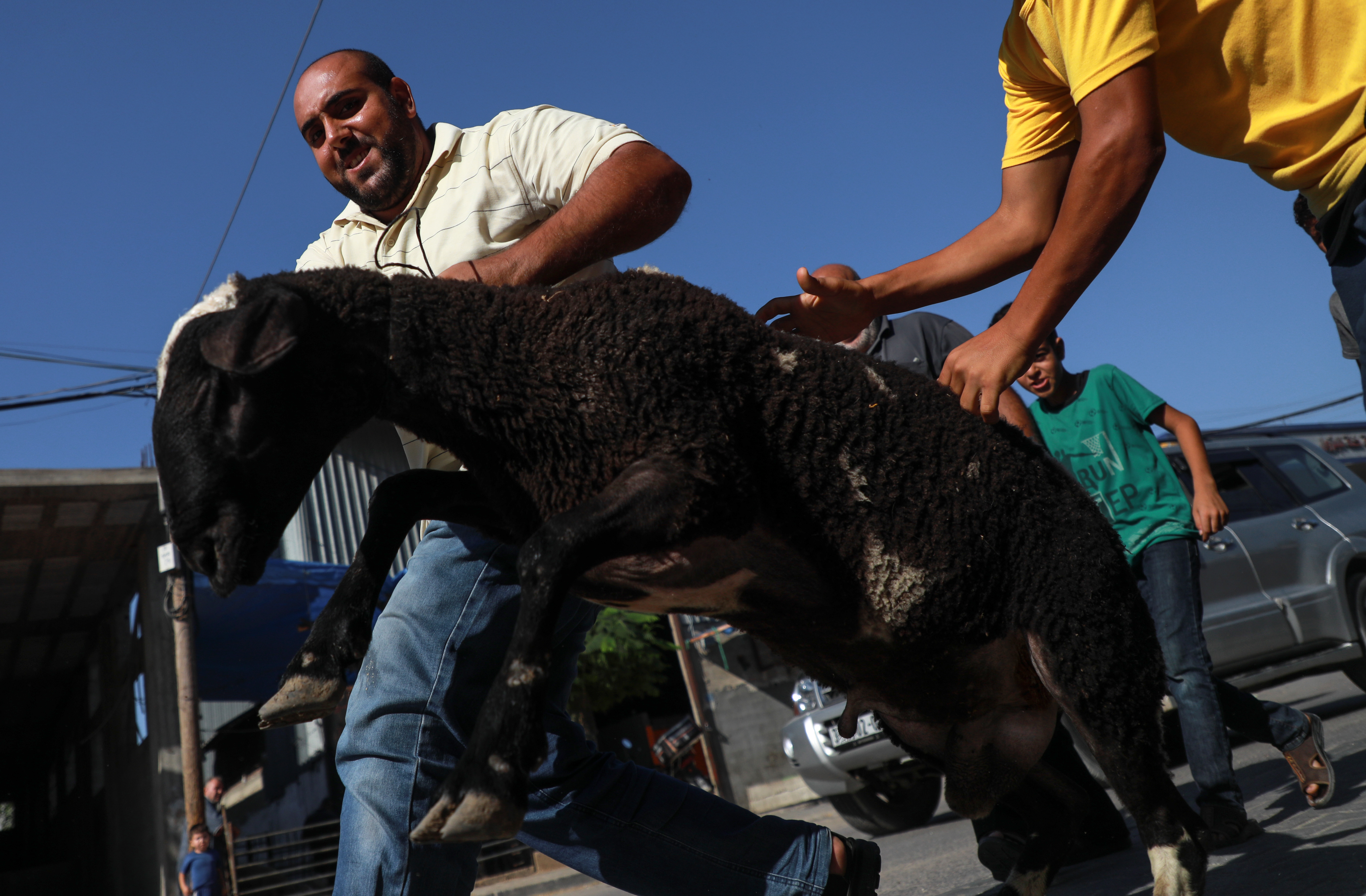 GAZA CITY, GAZA - JULY 09: Sacrificial animals are seen for sale at a makeshift 