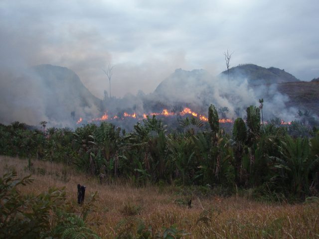 Illegal “slash-and-burn” practice in Madagascar, 2010 – Image source