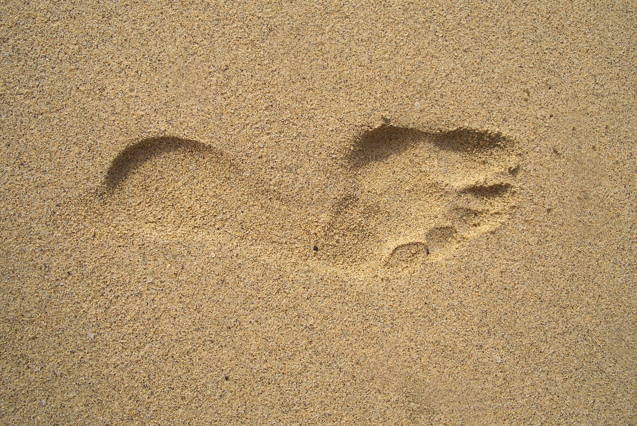 footprint-1345564_1280