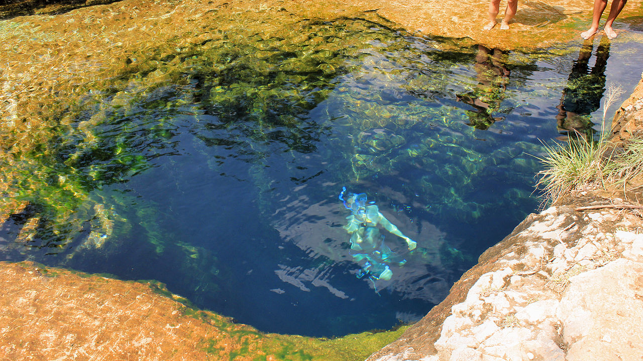 Swimmer in Jacobs Well