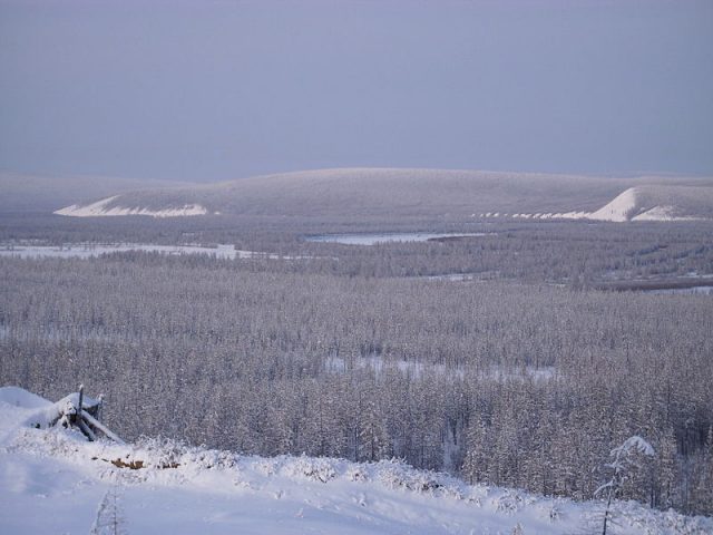The taiga in the river valley near Verkhoyansk, Russia
