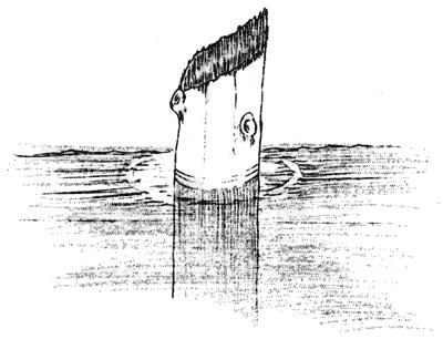 A sketch of the Old Man of the Lake published in 1938Source