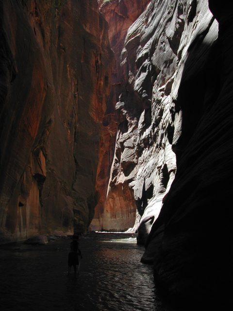 Canyon in the Zion National Park