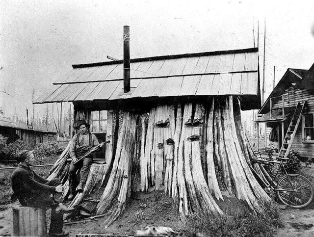 Cedar stump house, 1901 Photo Credit