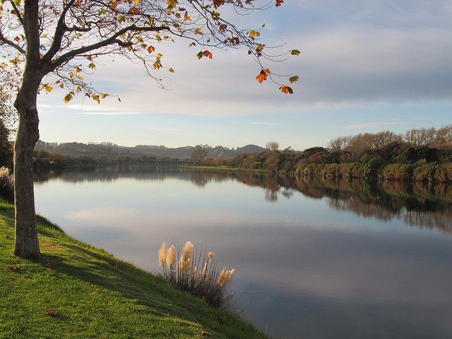 Whanganui River in Autumn. Photo credit