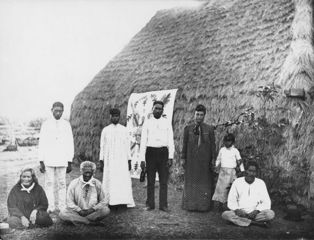 A group of men, women and a girl, standing and sitting in front of a thatched dwelling in 1885. A decorative cloth is attached to the thatched wall behind them.  This photo was taken by Francis Sinclair. Grass houses called Halepili were one of the last vestiges of Hawaiian culture in 1893