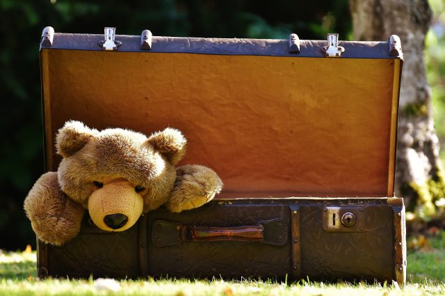 Teddy bear in a suitcase – probably not the most crucial of things to pack