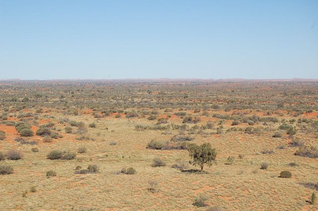 A landscape from the edge of the Simpson Desert / Photo credit