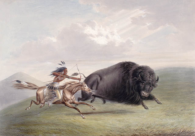 Hunting Bison in USA by George Catlin – Library and Archives Canada