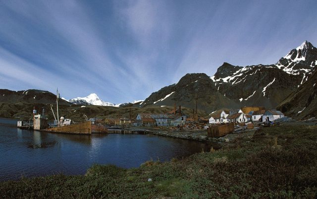 View of Grytviken. Photo credit