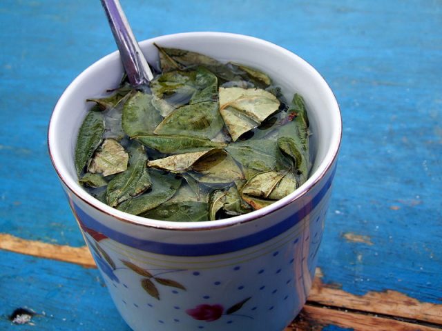 A cup of coca tea served in Villazón, Bolivia – Author: Stevage – CC BY-SA 3.0