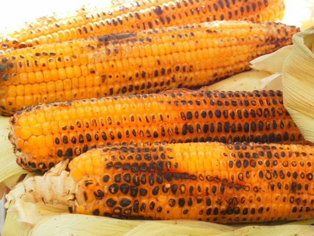 Corn on the cob is perfect camp food