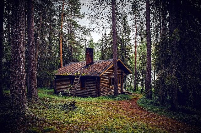 A cabin deep in the woods can be a great bug out location.