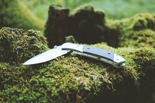blade in the bush edc knife