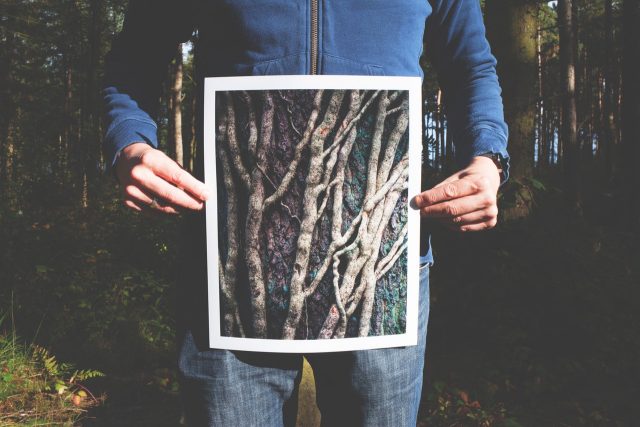 Bring your photos to life, and get your favorites printed!