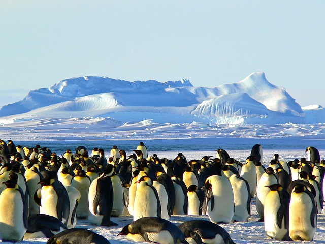 Antartica - For some serious adventuring