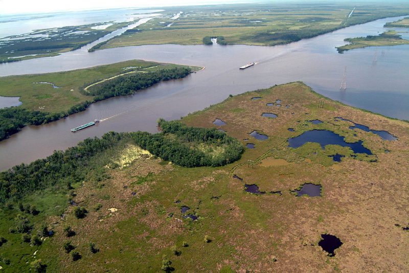 Coastal Marshes, Louisiana