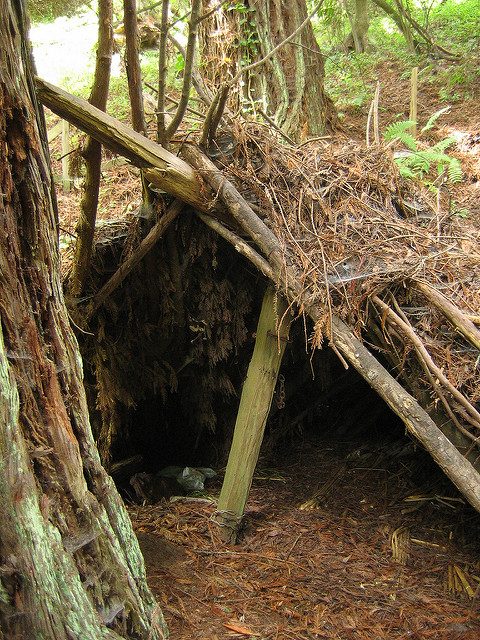 inside the lean-to shelter – Author: Erik Fitzpatrick – CC BY 2.0