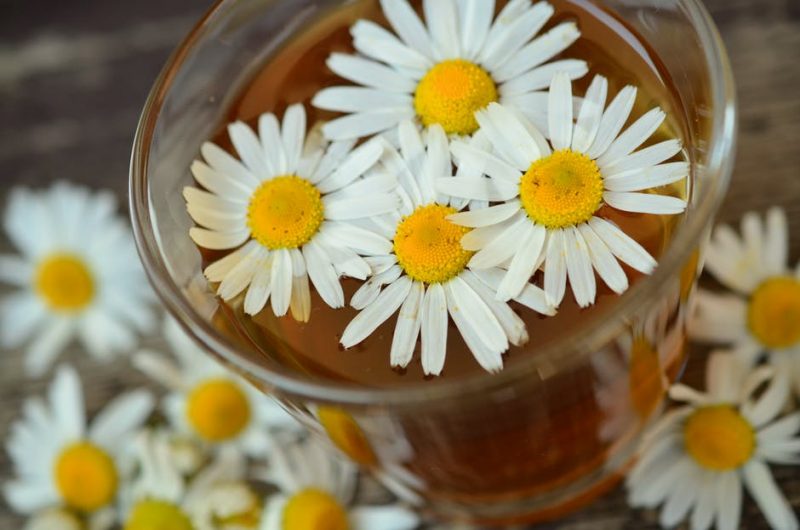 Chamomile not only keeps bugs at bay, it also makes a refreshing tea