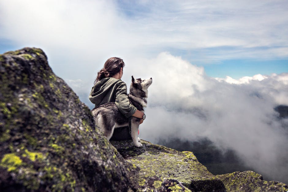 Your dog can make the perfect companion on a hiking trip