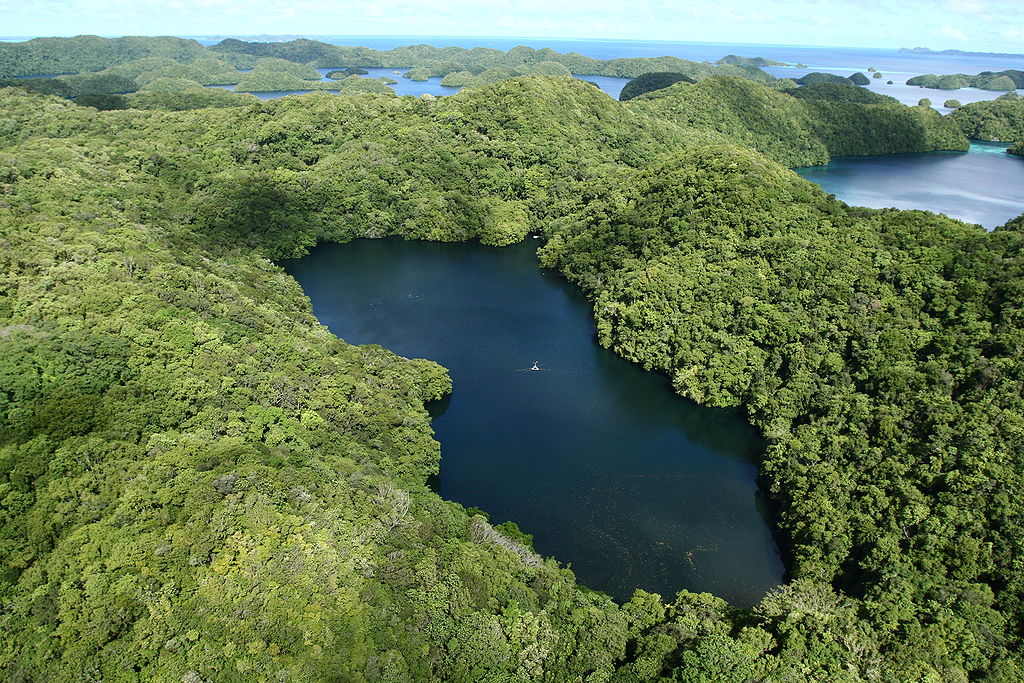Jellyfish Lake on Eil Malk Island, Palau. Looking west-northwest with some coral and rock islets in the background. The Seventy Island Preserve is just visible in the upper left on the horizon. At the bottom of the image, in the lake, the numerous bright dots are the jellyfish/ Author: Lukas. CC BY 2.0