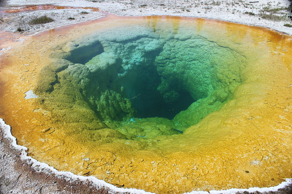 Morning Glory Pool. Yellowstone NP - Author: Miguel Hermoso Cuesta - CC BY-SA 4.0
