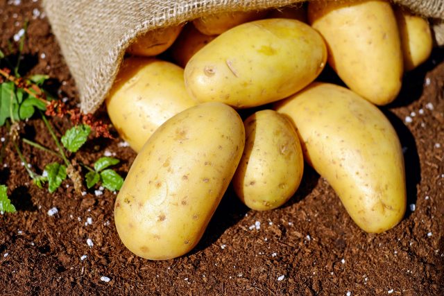 Potatoes are full with vitamin B6
