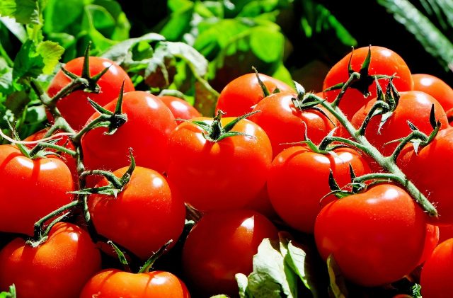  Tomatoes have many health benefits, including reducing the risk of heart disease and cancer