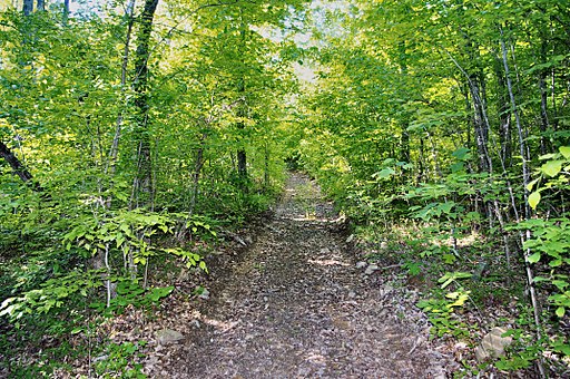 Old Trail of Tears path on Fredonia Mountain, near the Dunlap Coke Ovens Park in Dunlap, Tennessee, United States – Author: Brian Stansberry – CC BY 3.0
