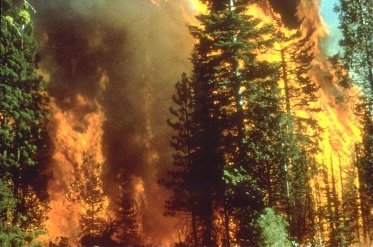 A wildfire in California on September 5, 2008 