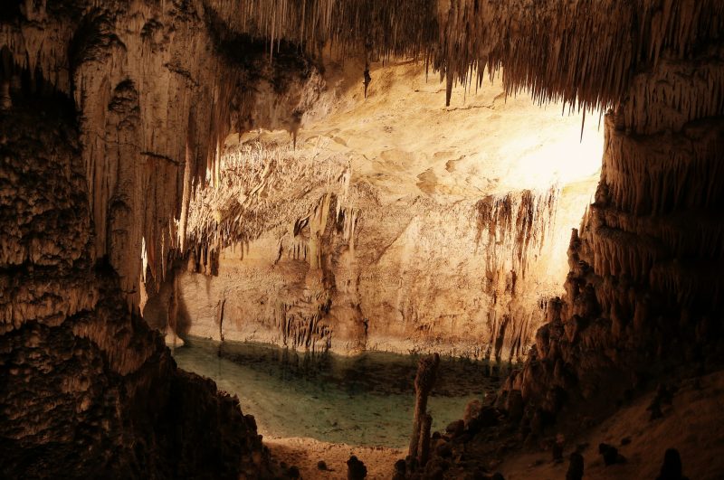 Cave in the Carlsbad Caverns National Park