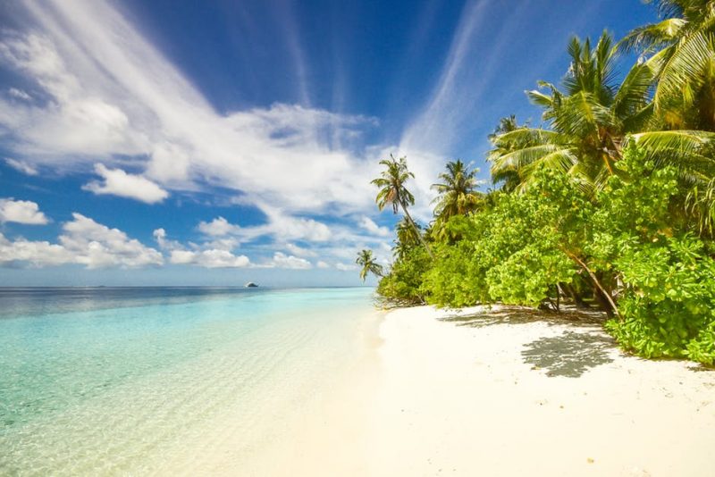 Check the schedule to see how much time you’ll have for enjoying that tropical beach