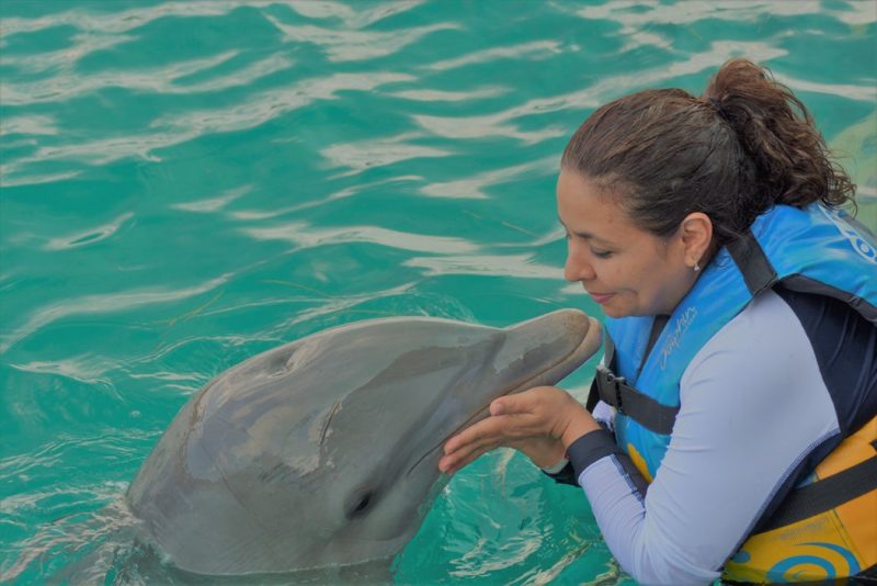 Communicating with a dolphin