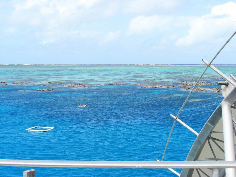 Seeing the Great Barrier Reef from a boat